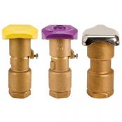 Category Rain Bird Quick Coupling Valves image